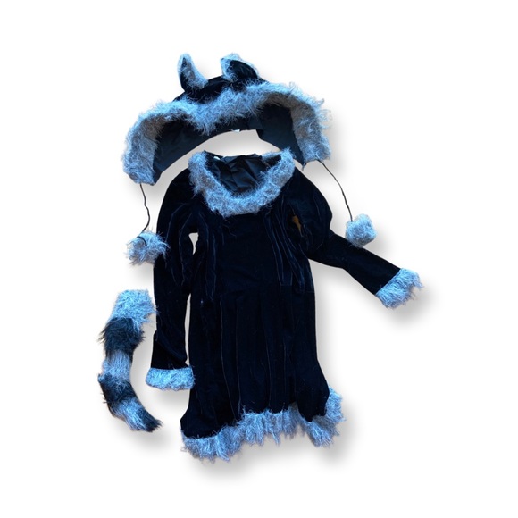 Racy Raccoon Halloween costume - Picture 2 of 2